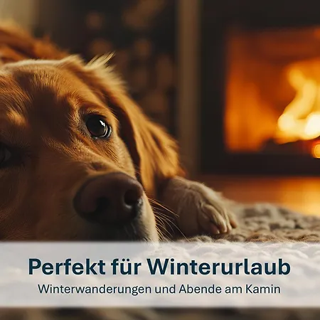 Ziemitz, Paradies Am Peenestrom *