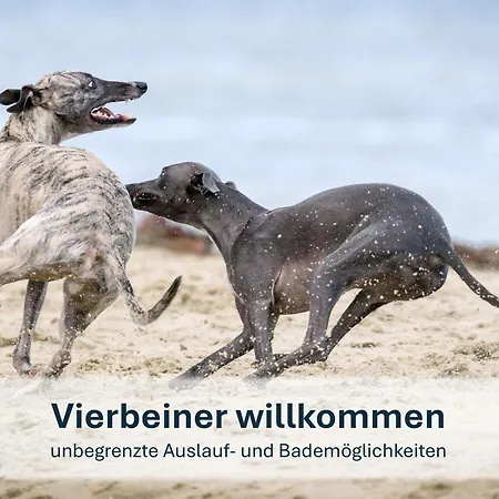 Ziemitz, Paradies Am Peenestrom Διαμέρισμα