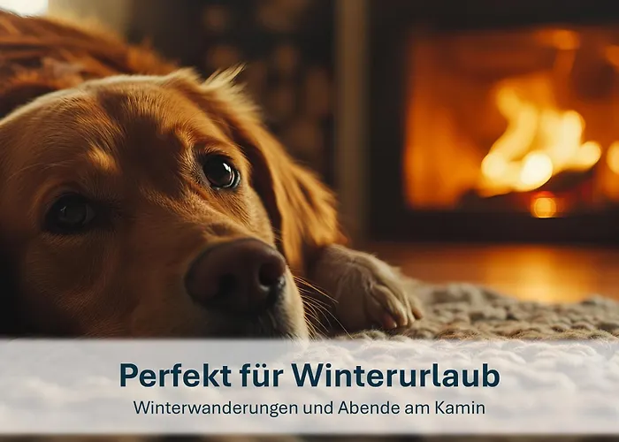 Ziemitz, Paradies Am Peenestrom *