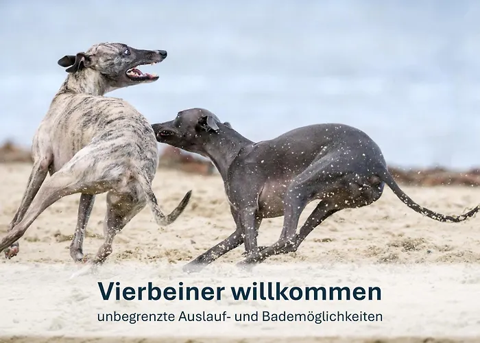 Ziemitz, Paradies Am Peenestrom דירה